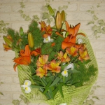 Детали. Детали. Адам Тухаев. «Учитесь у шахматисток»